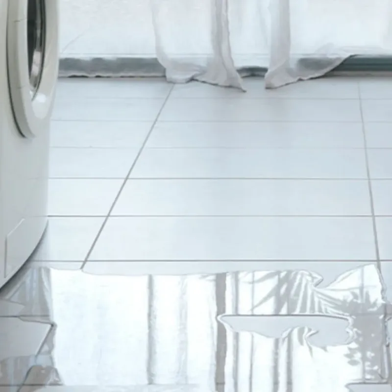 Appliance Leak Cleanup in Dallas, NC