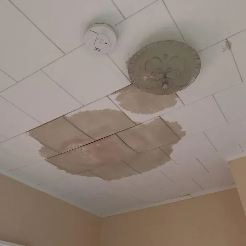 Ceiling Water Damage Repair in Dallas, NC