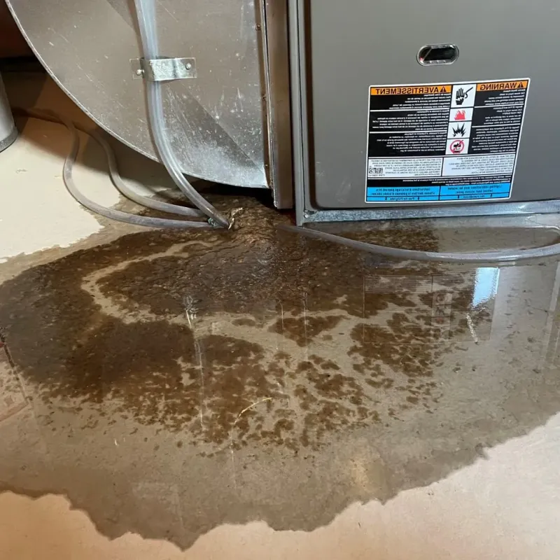 Pipe Burst and Leak Restoration in Dallas, NC